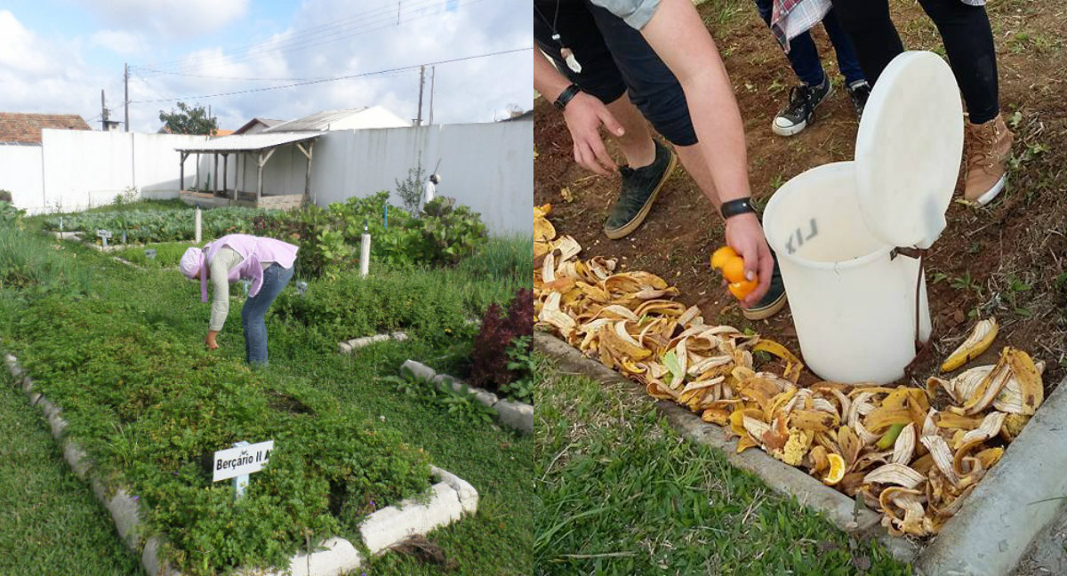Micro adubagem ecológica. Fotos de Divulgacao