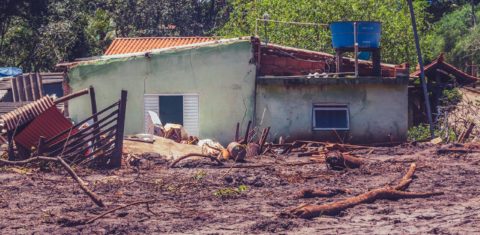 Não havia obstáculos para a lama, que trouxe desde maquinários pesados até troncos de árvores inteiras (Foto: Andre Mantelli).