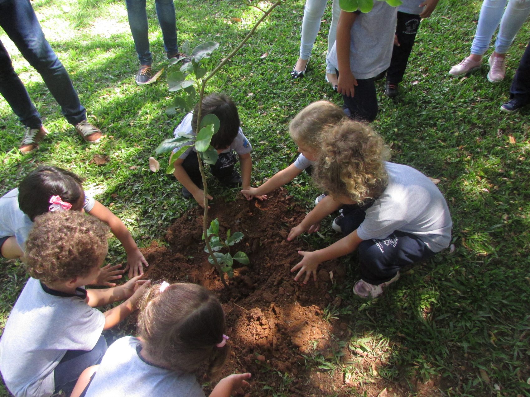 Foto Divulgação Crianças no programa Reflorestamento: plantio de mudas (Foto: Divulgação)