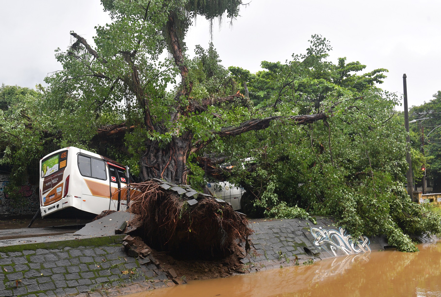 Ônibus atingido por uma árvore durante as fortes chuvas que atingiram o Rio na última segunda-feira. Foto Carl de Souza