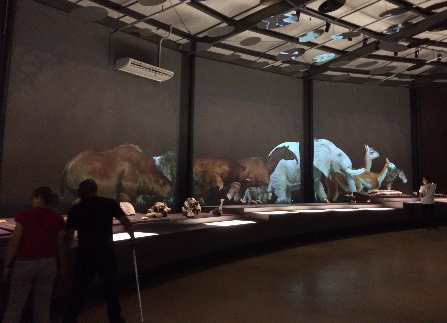 (Foto: Eduardo Carvalho) Novo Museu da Natureza leva mais visitantes ao Parque da Capivara mas infraestrutura não ajuda a atrair turistas (Foto: Eduardo Carvalho)