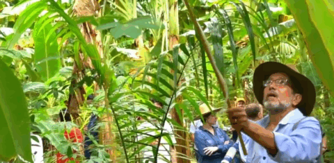 O agricultor Euid Moura aplica fertilizando localizadamente em sua lavoura: Agricultura de Precisão para reduzir a emissão de gases de efeito estufa (Reprodução)