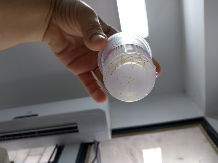 Teste do composto no laboratório da UFMT: produto patenteado (Foto: Arquivo Pessoal)