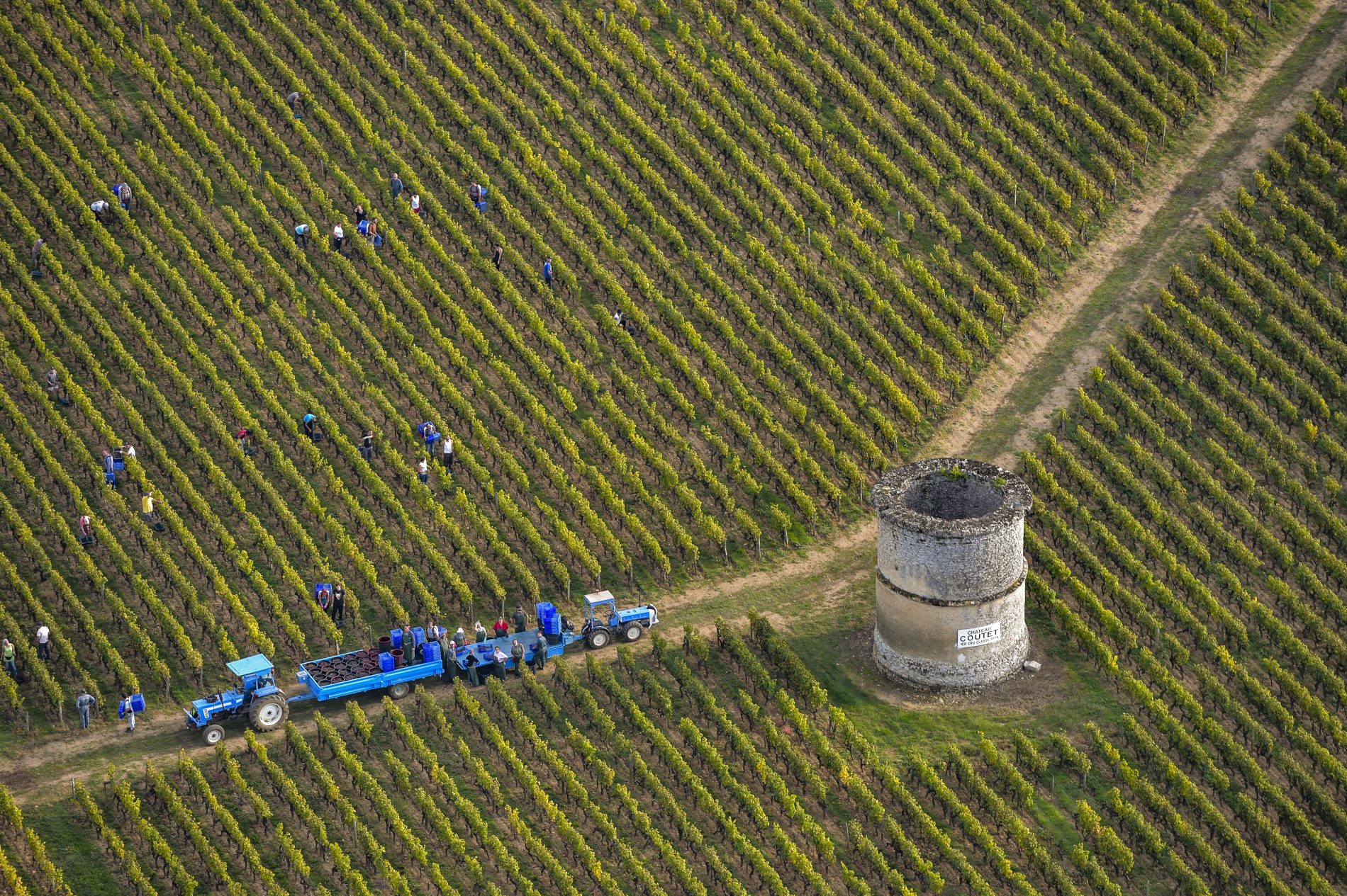 Foto de J-B Nadeau/ Only France/ AFP Produção de vinho em Bordeaux. Foto de J-B Nadeau/ Only France/ AFP