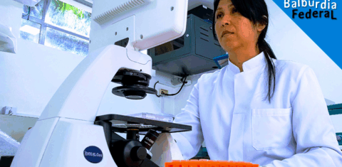 A pesquisadora Flora Milton no laboratório do campus da UFF em Nova Friburgo: pesquisa aponta para relação entre agrotóxicos e aumento de acúmulo de gordura no organismo (Foto Divulgação/UFF)