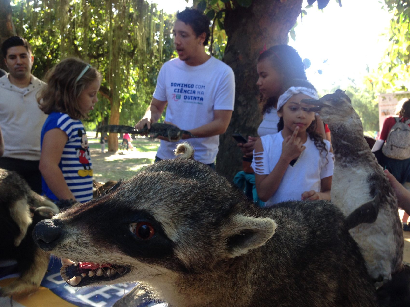 Professor do Núcleo de Estudos e Pesquisas em Animais Selvagens da UENF mostra trabalho da universidade a crianças: divulgação científica na Quinta da Boa Vista (Foto: Barbara Lopes)