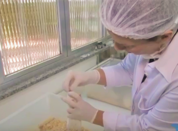 Teste em prótese no laboratório da UFF: alta eficiência e baixo custo para pacientes sem dentes no SUS (Divulgação/UFF)