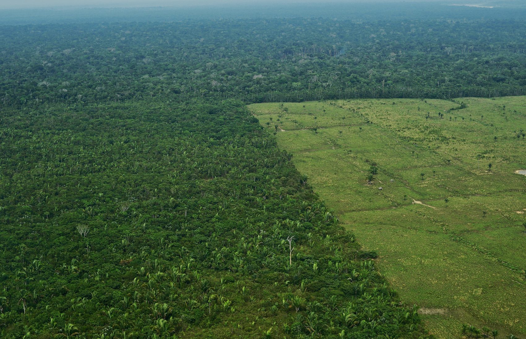 Vista aérea de área desmatada da Amazônia: pesquisadores da UFV provam relação dentre derrubada da floresta e regimes de chuvas na região (Foto: Carl de Souza/AFP)