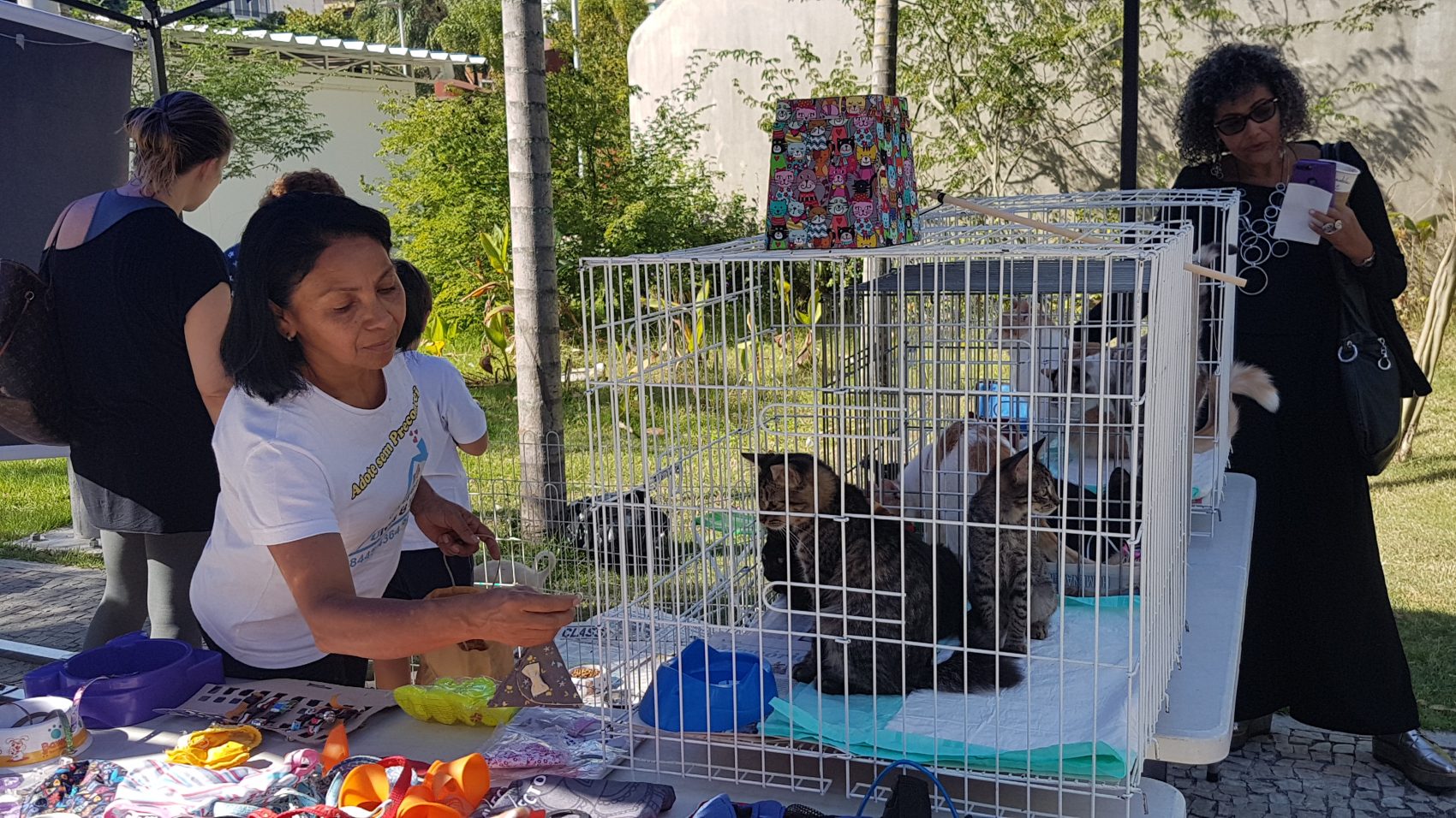 Projeto Uivos e miados na Praça Antero de Quintal: adoçao de gatos e cães nas largas calçadas do Leblon (Foto: Oscar Valporto)