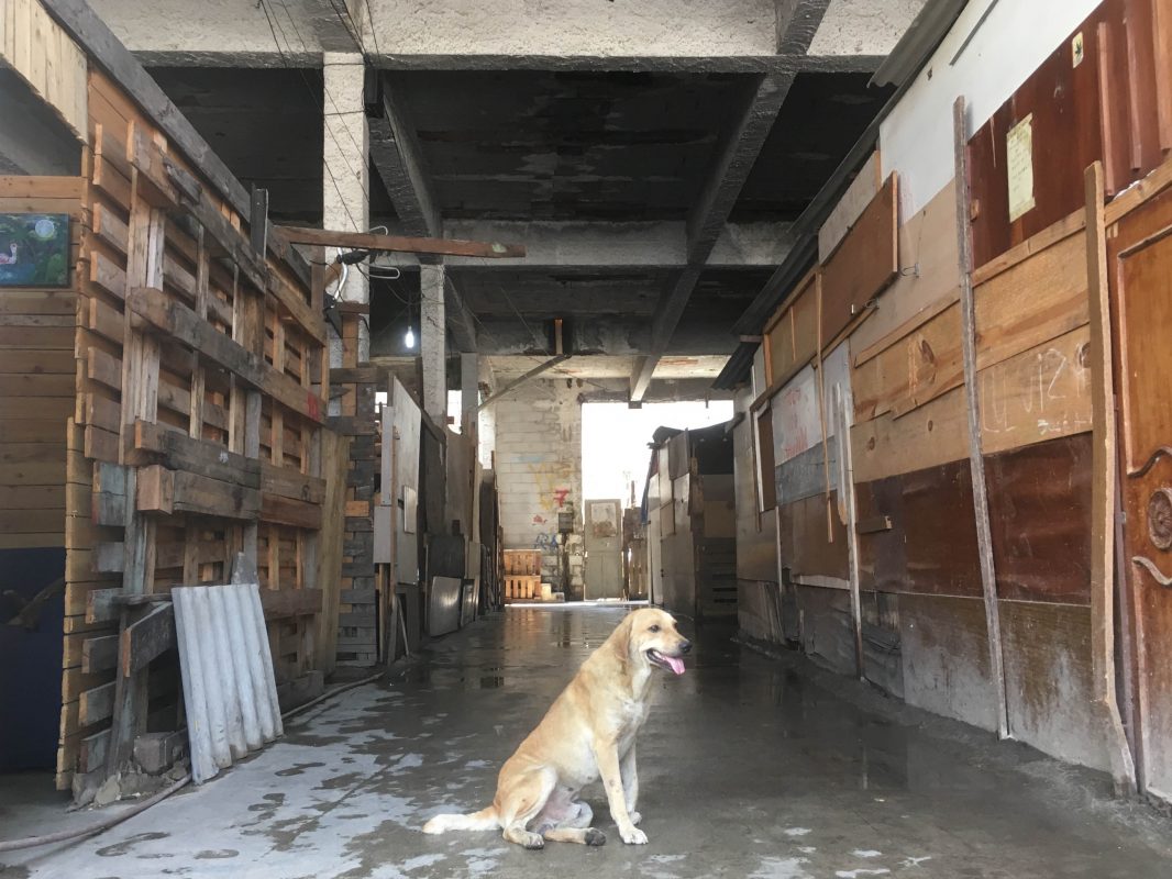 A Ocupação Povo sem Medo: lotes de, em média, 35 metros quadrados, a R$ 20 por mês de cada família. Foto de Maria Carolina Rodrigues