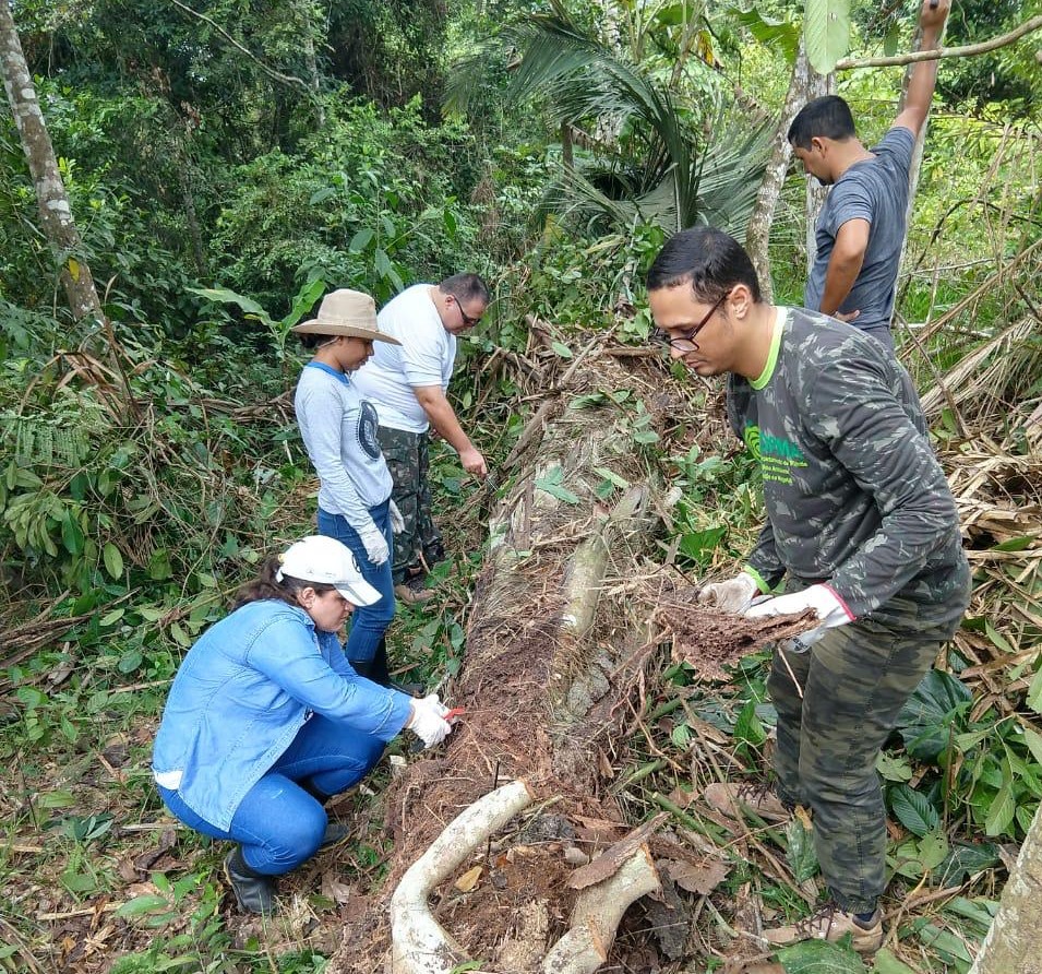 O professor Dionatas Meneguetti em trabalho de campo no Acre: descoberta de novas espécies de barbeiros transmissores da Doença de Chagas (Foto: Arquivo Pessoal)