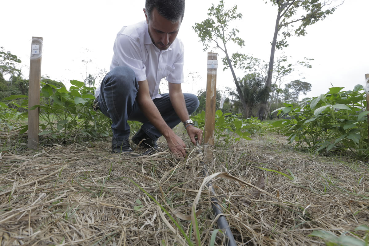 Área da pequisa na horta da Ufac: alternativa para que pequeno produtor possa irrigar sua plantação mesmo em áreas isoladas (Foto: Divulgação/UFAC)