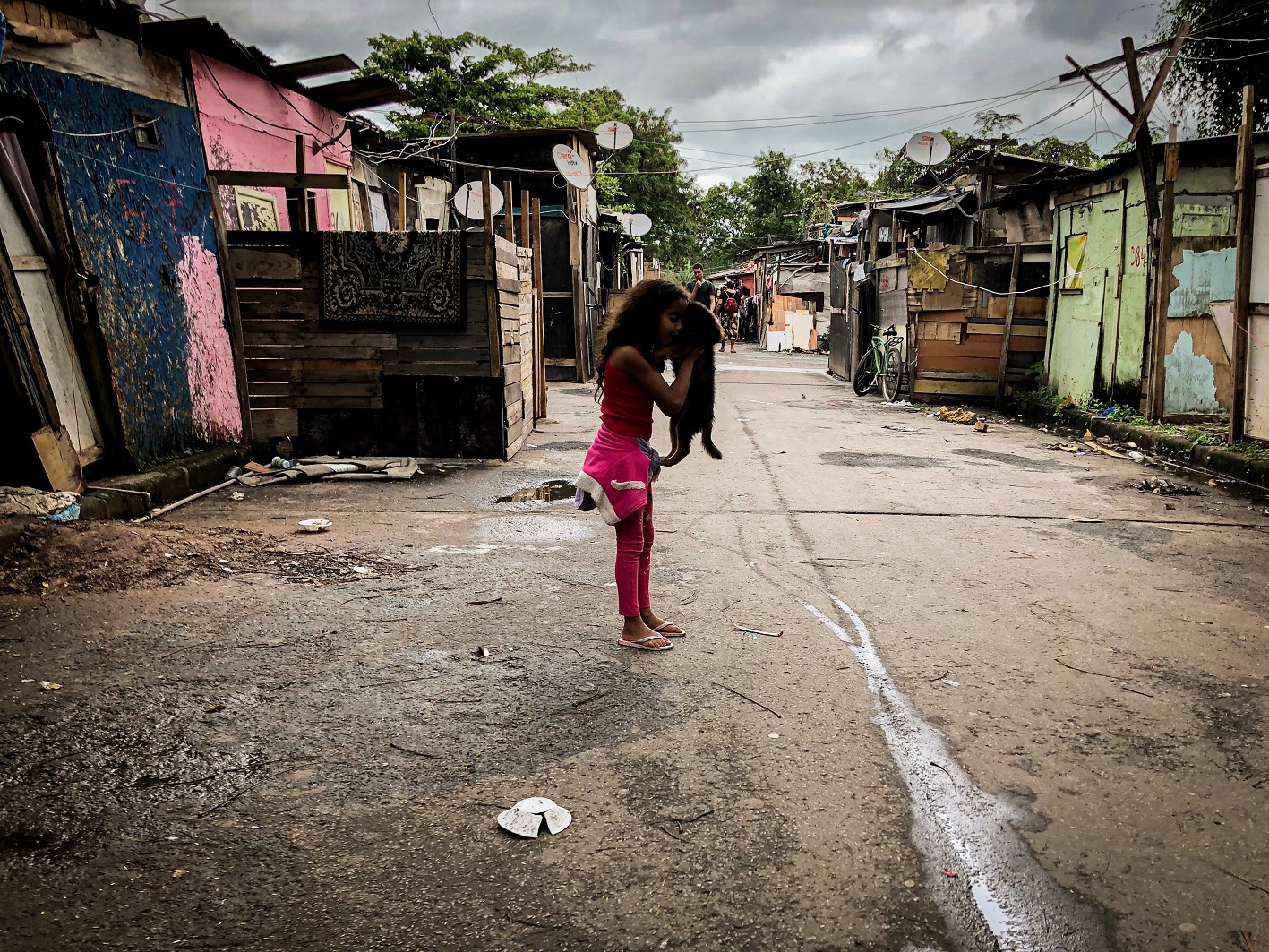 Foto Flávia Milhorance Menina de conjunto rosa brinca com o Lobo como se fosse o Rei Leão: "É porque ele é um lobo de verdade”. Foto Flávia Milhorance