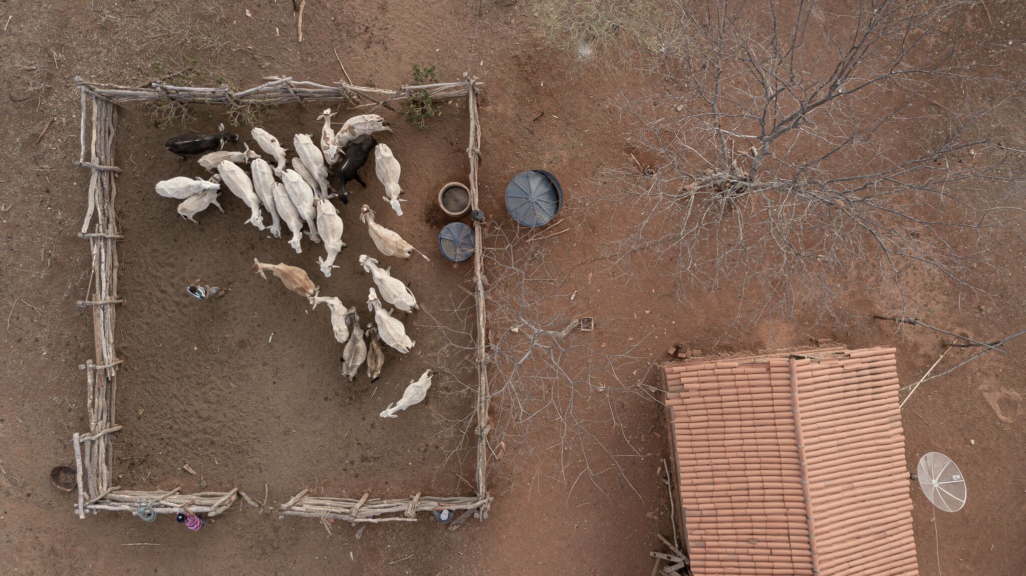 Deserto: Gilbués é um dos núcleos de desertificação no país. Foto de Márcio Pimenta
