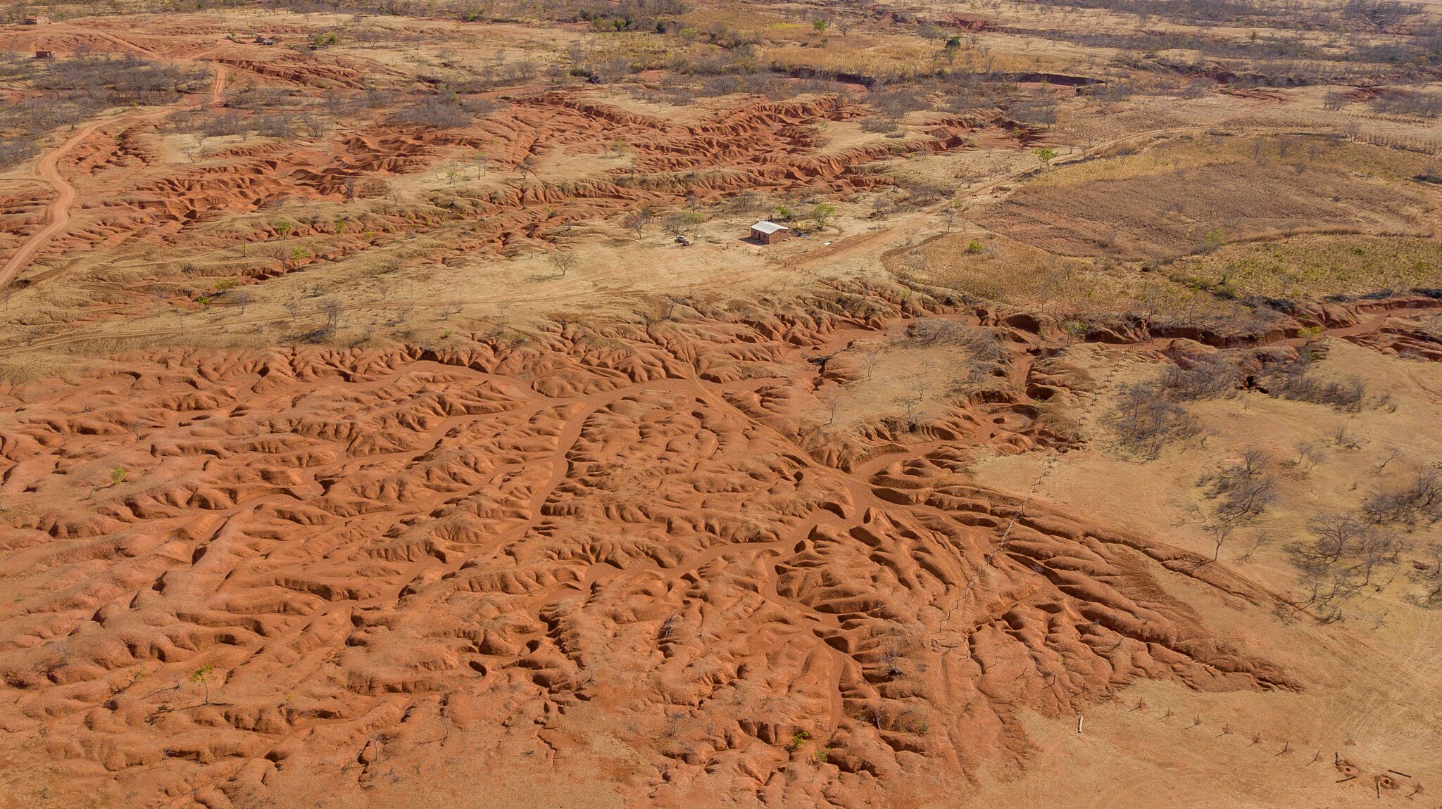 Foto de Márcio Pimenta Gilbués é um dos núcleos de desertificação no país. Foto de Márcio Pimenta
