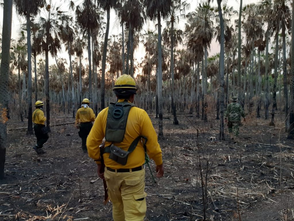 Bombeiros em área de queimada no Paraguai (Foto da Secretaria de Emergência Nacional