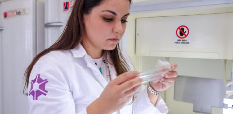 A pesquisadora Tamara Takahashi no Laboratório de Controle Integrado de Insetos da UFPR: identificação de novas pragas de lagartas e novas espécies de vespas (André Filgueiras/UFPR)