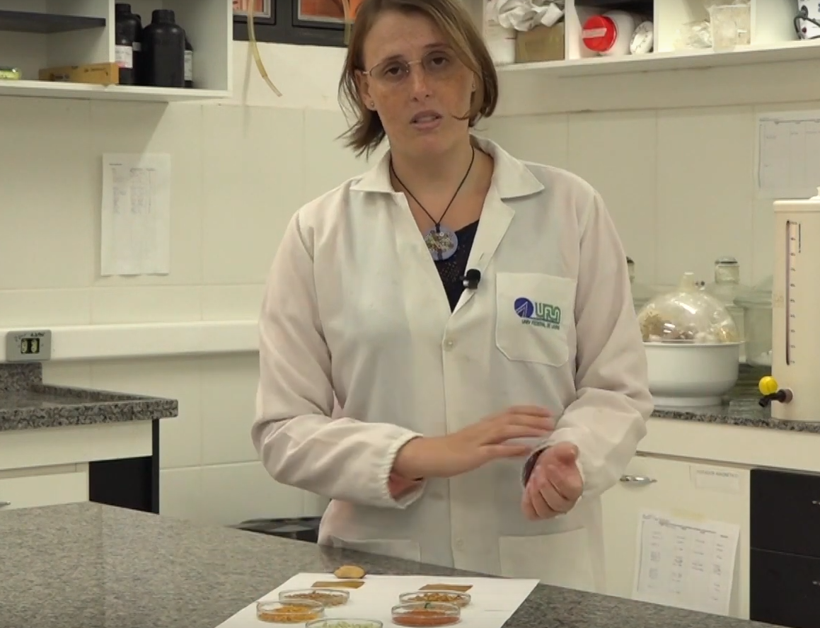 A pesquisadora Laura Fonseca no Laboratório de Embalagens do Departamento de Ciência dos Alimentos: "Como a casca do tomate é um resíduo da indústria de molho de tomate, nós queríamos reaproveitar" (Reprodução: Núcleo de Divulgação Científica da UFLA)
