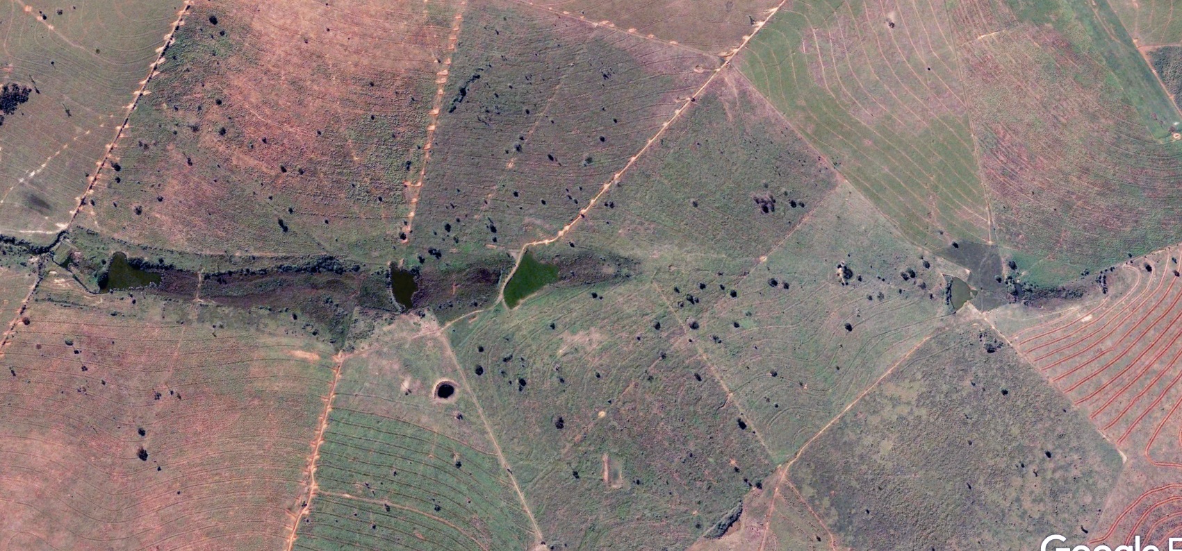 Áreas de Preservação Permanentes (APPs) da Fazenda São Geraldo, em 2009. Foto Acervo pessoal/José Arnaldo Favaretto