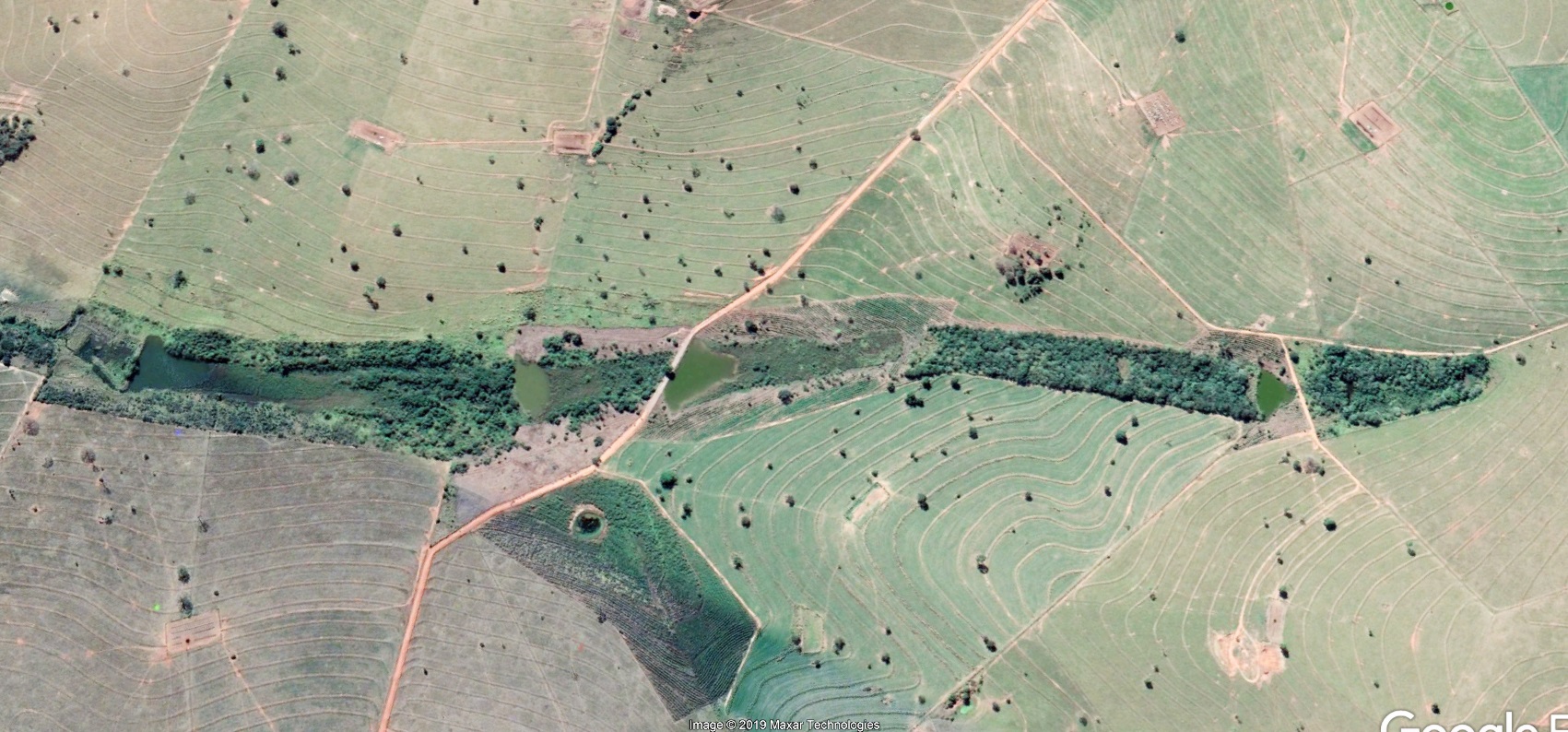 Áreas de Preservação Permanentes (APPs) da Fazenda São Geraldo, dez anos depois, em 2019. Foto Acervo pessoal/José Arnaldo Favaretto