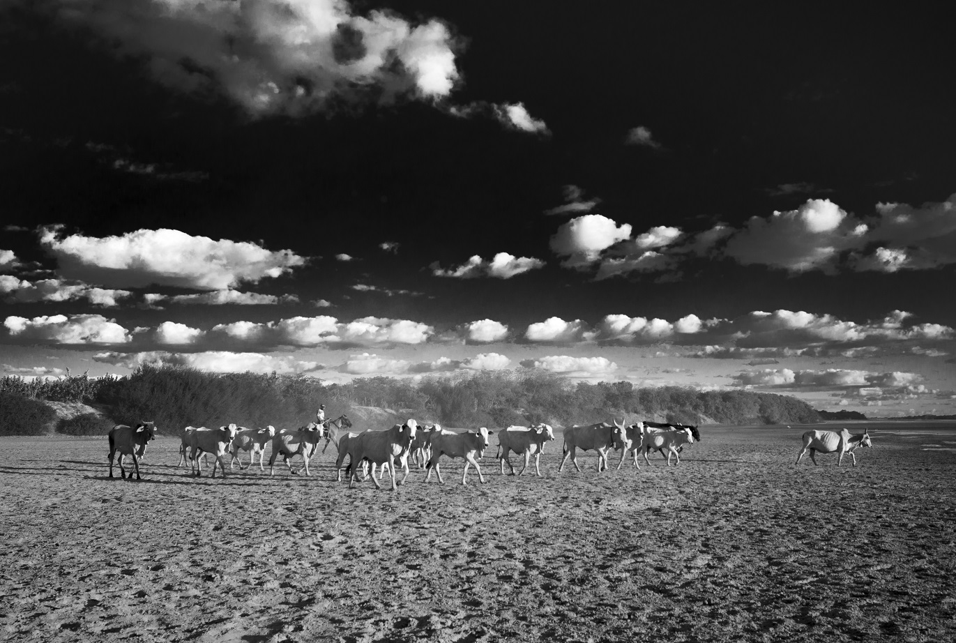 Comunidade geraizeira de Pau Preto no município de Matias Cardoso, em Minas Gerais. Foto João Roberto Ripper