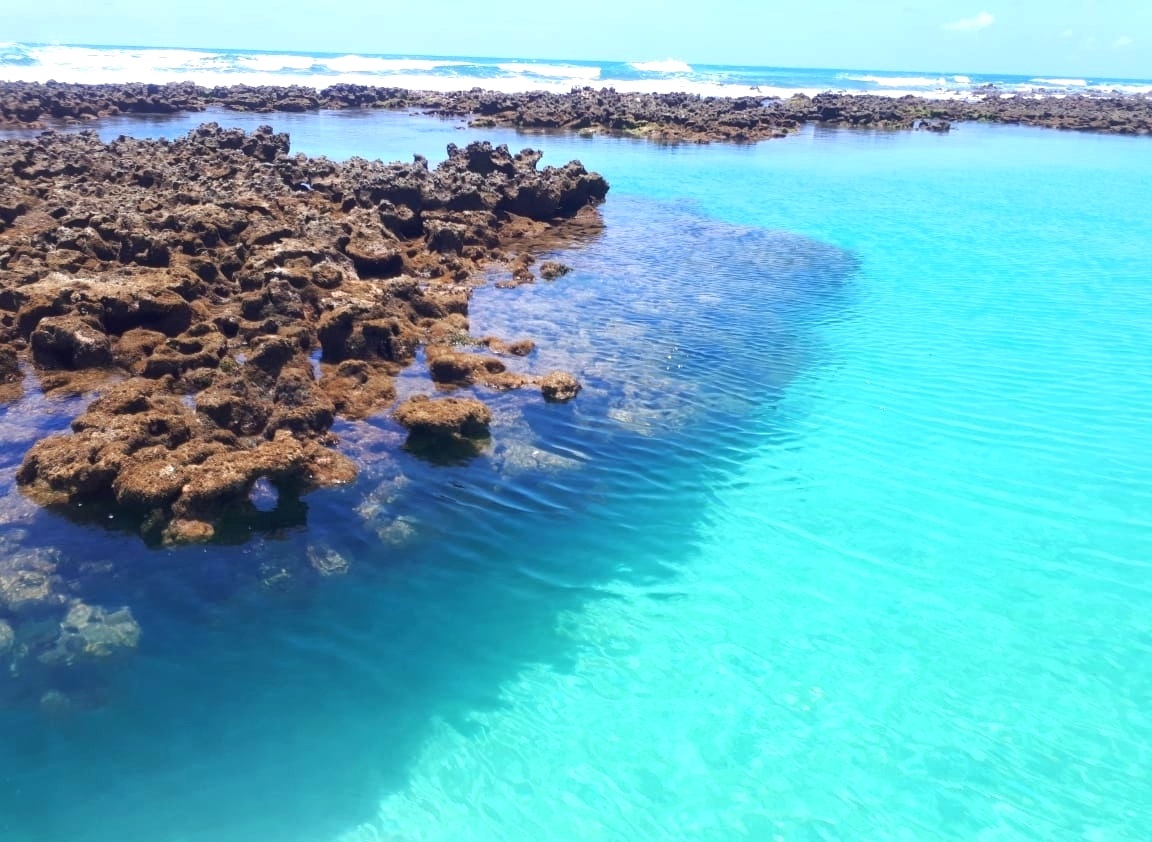 Área de corais em Tamandaré, um paraíso ameaçado. Foto Fernanda Amaral