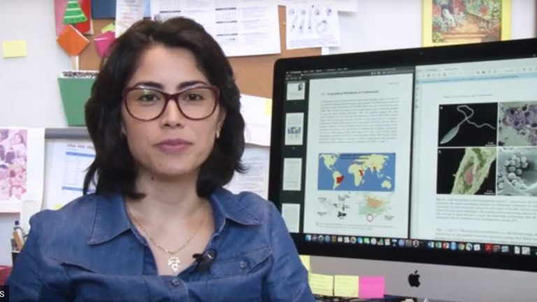 A pesquisadora Sandra Maruyama, da Universidade Federal de São Carlos, busca agora descobrir se o Cridia sergipensis sozinho é capaz de causar uma doença grave e potencialmente fatal ou se os casos observados seriam resultado de uma dupla infecção. “É possível que o novo parasita esteja contribuindo para agravar casos típicos de leishmaniose visceral” (Foto: UFSCar)