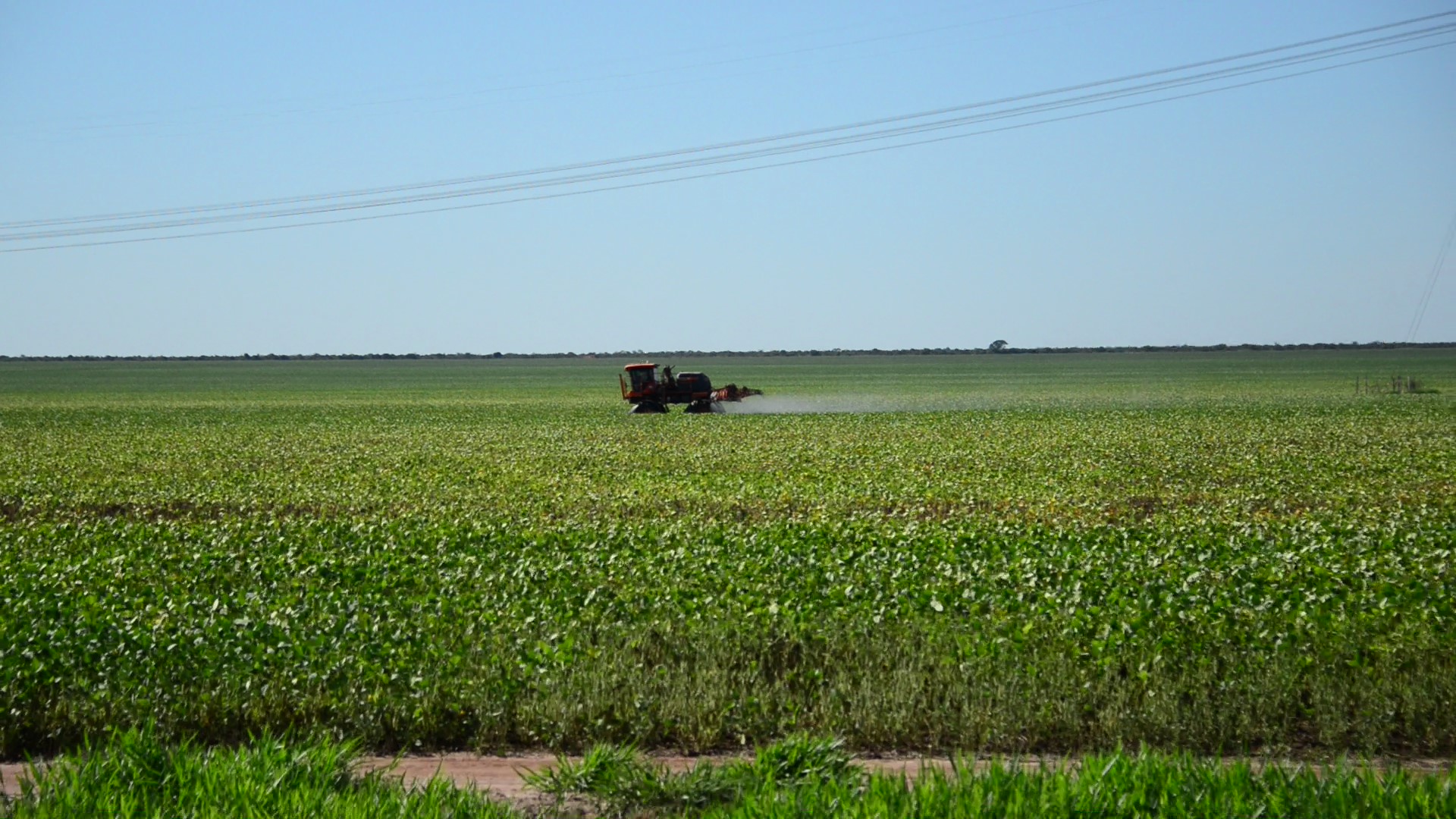 Fazenda de soja nos arredores de Correntina: : agronegócio impactado pela mudança climática. Foto de Mirian Fichtner