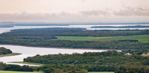 Corredor verde de Itaipu. Foto de Fraulini/Itaipu Binacional