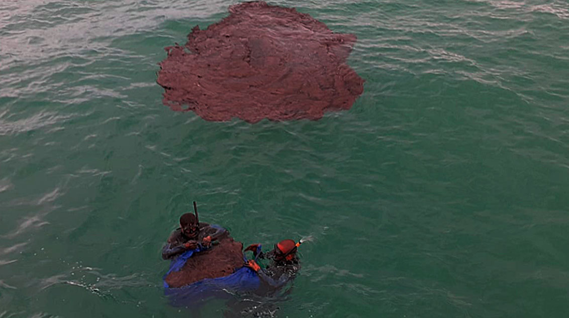 Mergulhadores da Marinha retiram óleo do mar no litoral nordestino: impacto em animais marinhos e corais (Foto: Ministério do Meio Ambiente/Fotos \Públicas)