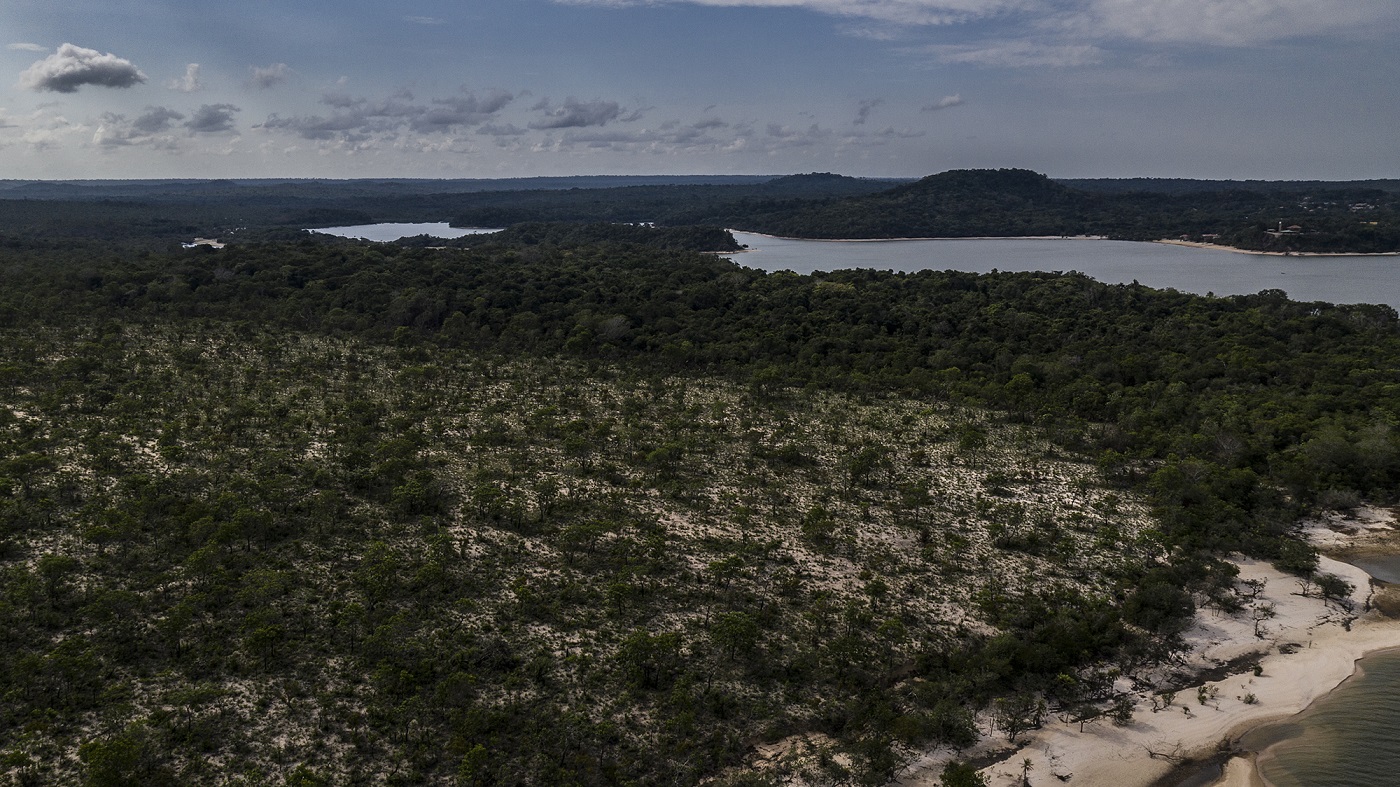 Área de Proteção Ambiental de Alter do Chão, nas margens do Lago Verde, onde ocorreu um incêndio de grandes proporções em setembro de 2019. Foto Marizilda Cruppe.