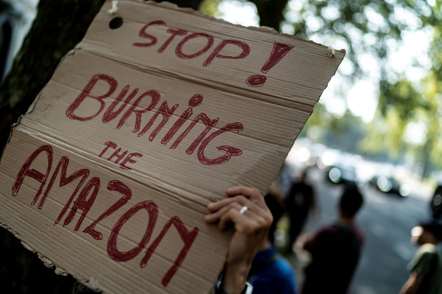 Foto Kenzo Tribouillard/AFP Protestantes no mundo todo fazem apelos em favor do fim das chamas na Amazônia. Foto Kenzo Tribouillard/AFP