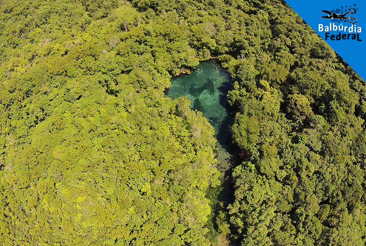 Nascente do Rio Olho D`Água, no Mato Grosso do Sul. O Cerrado brasileiro é uma das áreas mais ameaçadas pela escassez. Foto José Sabino/BPBES