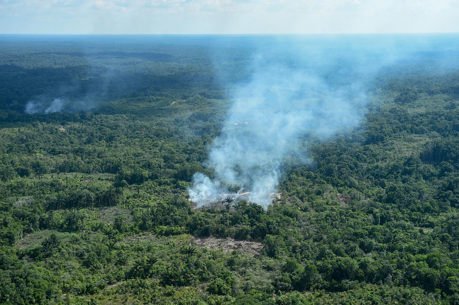 Foto Chico Batata/DPA Foco de incêndio na floresta em São Gabriel da Cachoeira. Foto Chico Batata/DPA