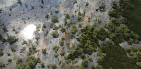 O vazamento impactou diretamente duas unidades de conservação do município de Magé – a APA Rio Estrela e o Parque Natural Barão de Mauá. Foto Mario Moscatelli