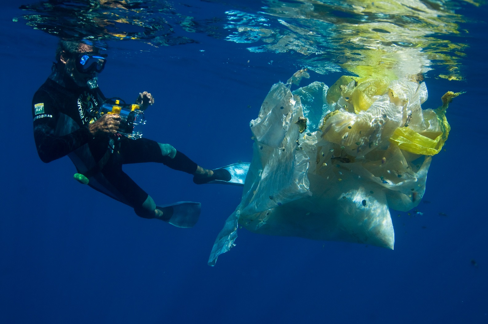Para alcançar o mar, os filhotes precisam driblar os predadores naturais, os riscos de captura incidental por redes de pesca e o excesso de lixo plástico. Foto Fundação Pró-Tamar