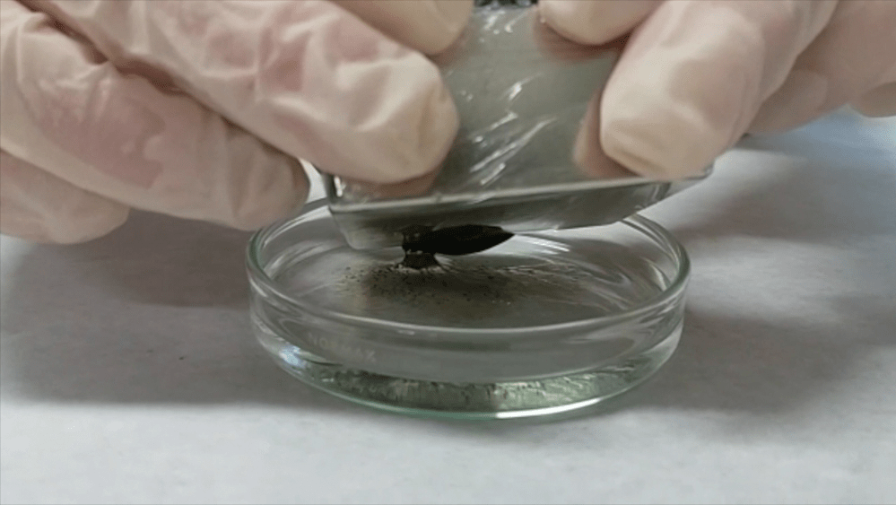 Partículas desenvolvidas pela Unifesp reúnem em sua composição magnetita e resíduo de biomassa de levedura da fermentação de etanol: testes no litoral do Ceará (Foto: Unifesp/Divulgação)