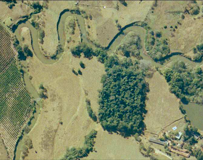 Área de Mata Atlântica em Pitauá, no município de Socorro em 2005 (Foto: Divulgação)