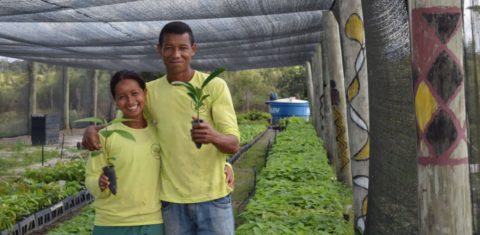 Viveiro de mudas do Programa Arboretum: quase 900 mil mudas comercializadas desde 2015 (Foto: Divulgação)
