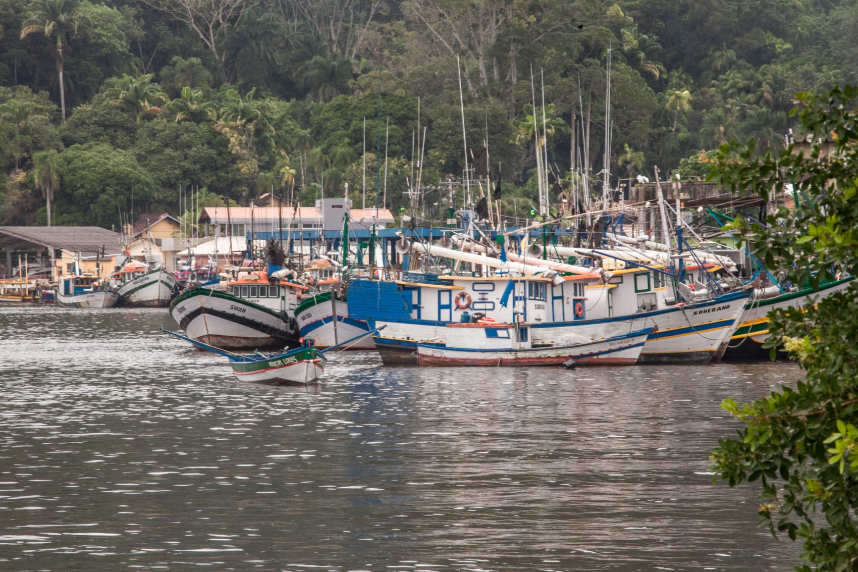 Barcos de pescadores em Cananeia: pesca artesanal é a base da economia da cidade de 12 mil habitantes no extremo sul do litoral paulista (Foto: Caio Ferrari)