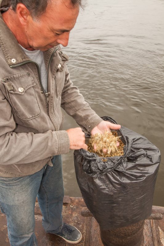 Paulo Hanae com os irikos: pequenos peixes de Cacaneia são sucesso nas lojas orientais da capital paulista (Foto: Caio Ferrari)