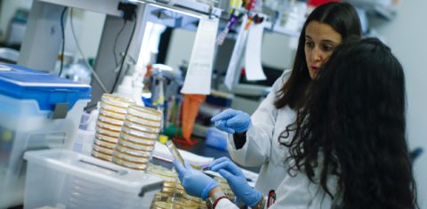Pesquisadores trabalham no desenvolvimento de exame para identificação rápida do COVID-19 no Hackensack Meridian Health Center for Discovery and Innovation, em Nova Jeresey/EUA (Foto: Kena Betancur/Getty Images/AFP)