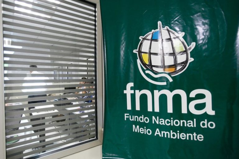Fundo Nacional de Meio Ambiente: conselho deliberativo sem representantes da sociedade civil (Foto: Ministério do Meio Ambiente/Divulgação)