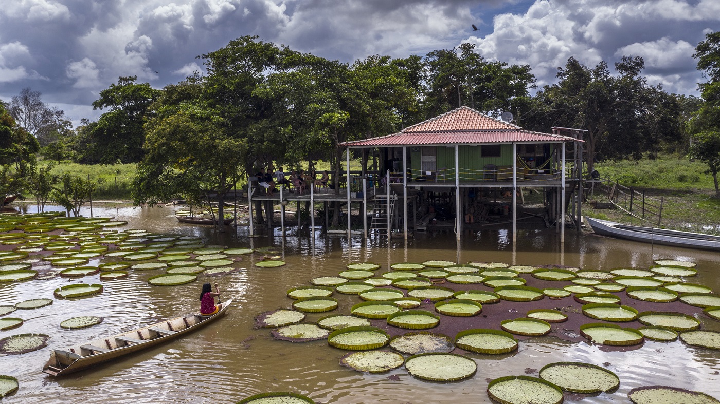 Dulce Oliveira usa uma canoa sem motor para circular pelas vitórias-régia do seu jardim. Apesar dos avisos na entrada para que guias, barqueiros e turistas não utilizem lanchas com motor para se aproximar das plantas, muitos desobedecem e acabam machucando as vitórias-régia Foto Marizilda Cruppe