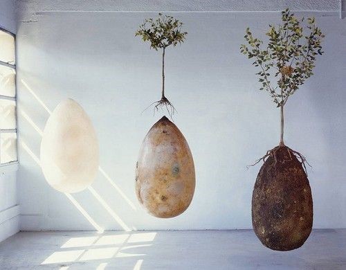 Foto Divulgação A Capsula Mundi, projetada pelos designers italianos Anna Citelli e Raoul Bretzel. Foto Divulgação