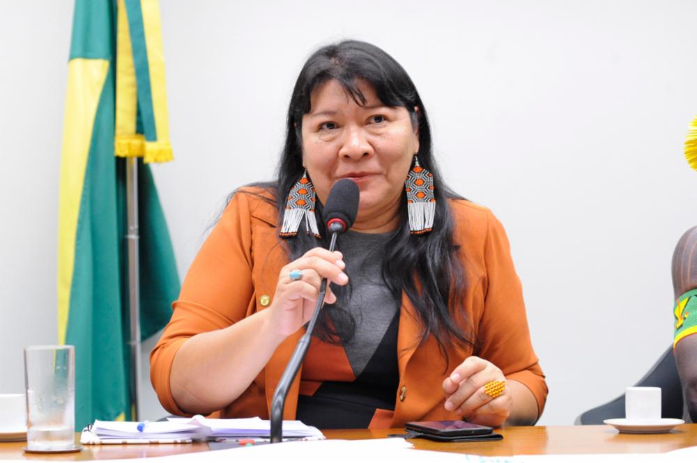 A deputada Joênia Wapichana, presidente da Frente Parlamentar Mista em Defesa dos Povos Indígenas: alerta às autoridades do risco de genocídio (Cleia Viana/Câmara dos Deputados)
