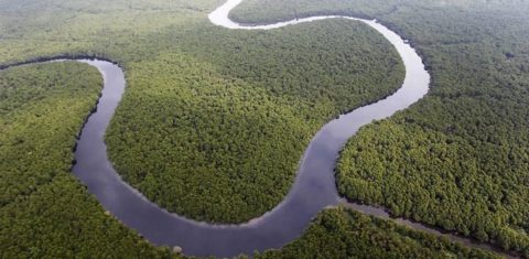 A Apa de Guapi-Mirim, no Rio de Janeiro, é uma das que está acéfala desde o dia 12 por conta da falta de diálogo do governo com os servidores. Foto Custódio Coimbra