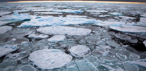 Degelo acelerado no Ártico, onde a temperatura em cidade da Sibéria chegou ao recorde de 38 graus: círculo vicioso ameaça região (Foto: Greenpeace)