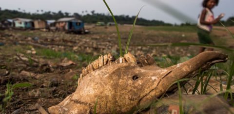 Criança e carcaça de animal na seca brasileira: aquecimento do planeta e os danos ao ambiente deixam as crianças diante de um futuro incerto (Foto: Raphael Alves/AFP)