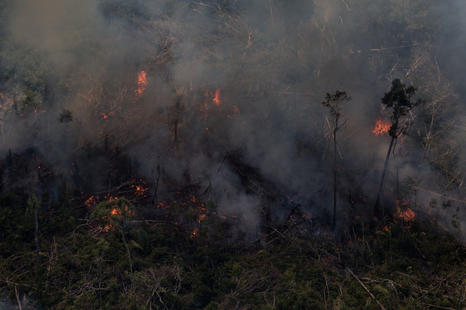 Floresta Amazônica em chamas em Rondônia: queimadas de agosto mostram fracasso de operação militar (Foto: Bruno Kelly/Amazônia Real)